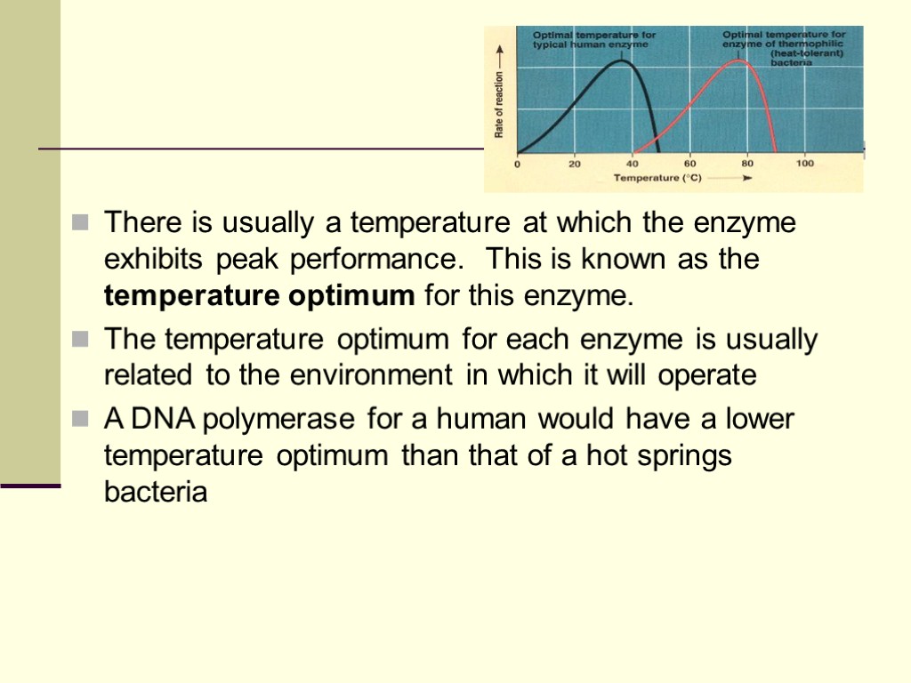 There is usually a temperature at which the enzyme exhibits peak performance. This is